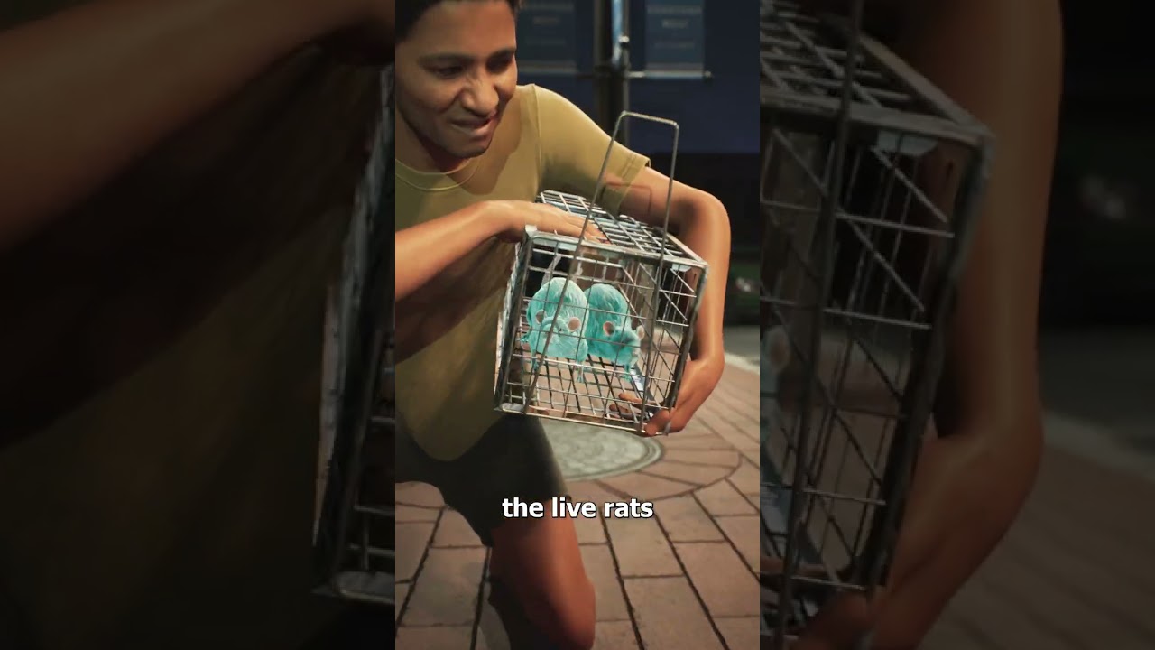 赏金捕鼠计划如何加剧了瘟疫的蔓延-咕咕的工具箱