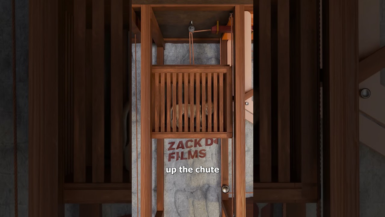 狮子怎么突然出现在罗马斗兽场里了-咕咕的工具箱