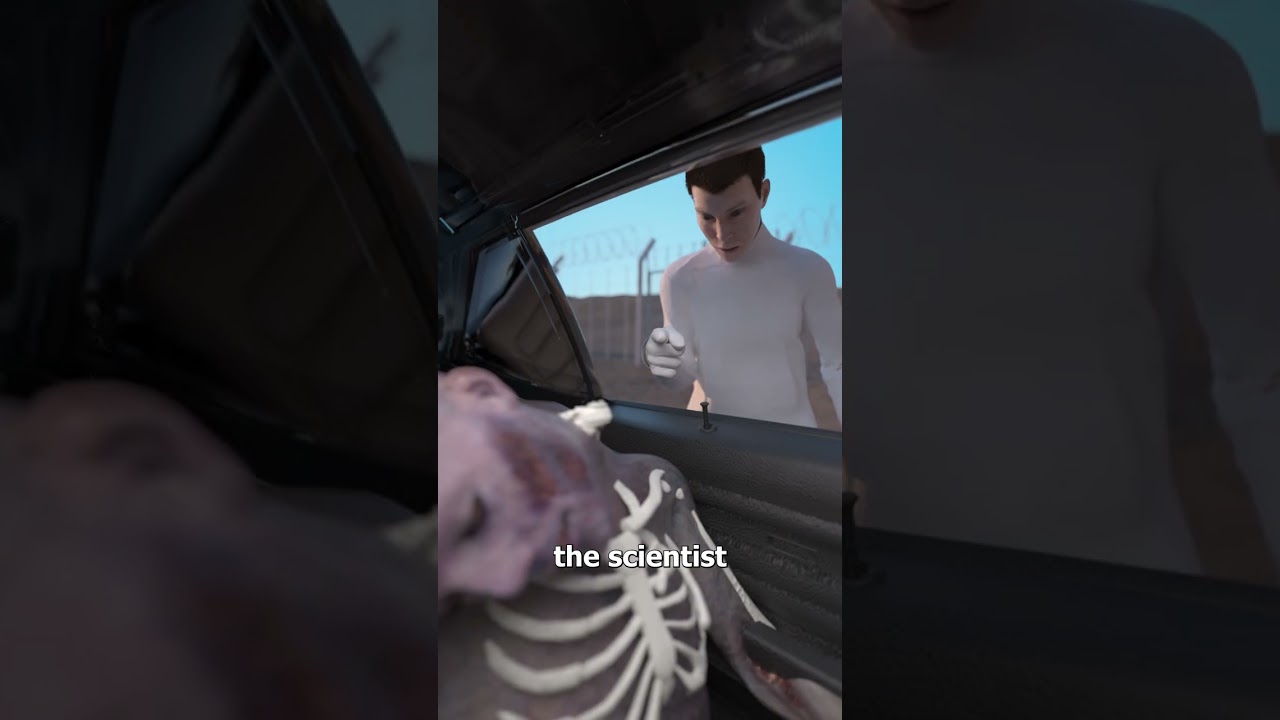 科学家如何用尸体测试汽车安全性-咕咕的工具箱