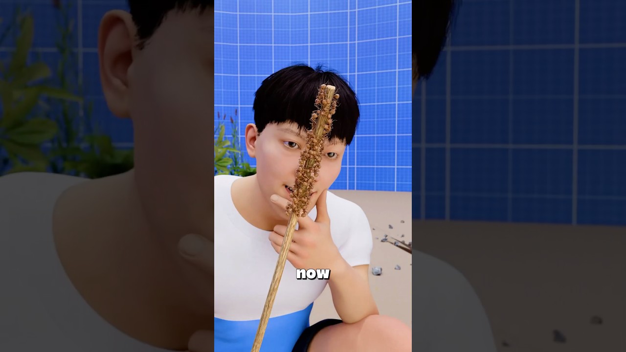 如何利用蚂蚁对付蜘蛛-咕咕的工具箱