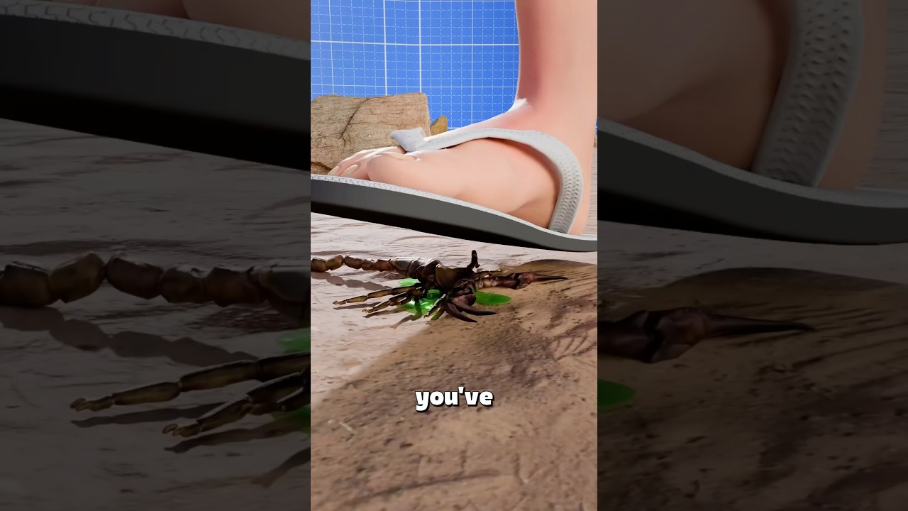 蝎子能隔着鞋子蜇人吗？-咕咕的工具箱