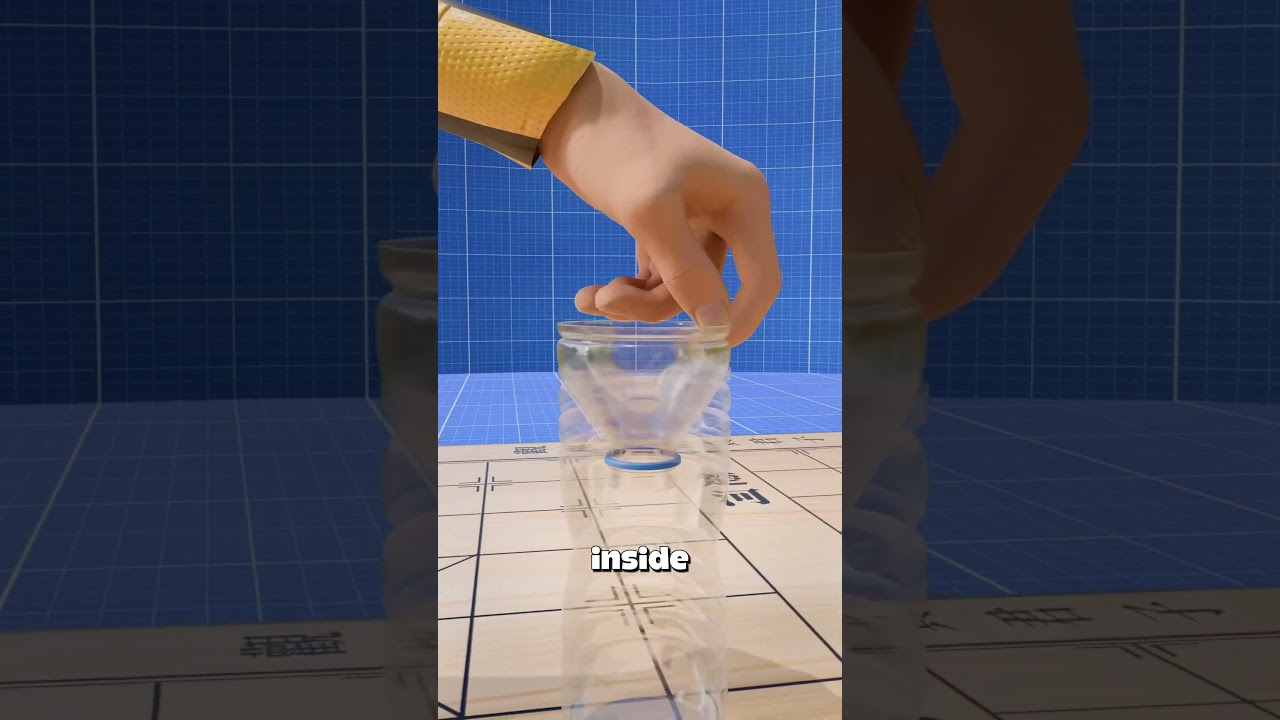 这只苍蝇成了完美的诱饵-咕咕的工具箱