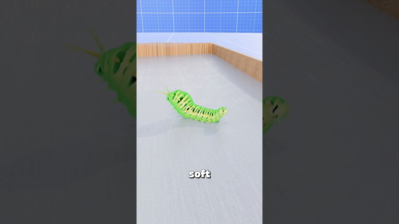 为什么毛毛虫会在阳光下爆炸-咕咕的工具箱