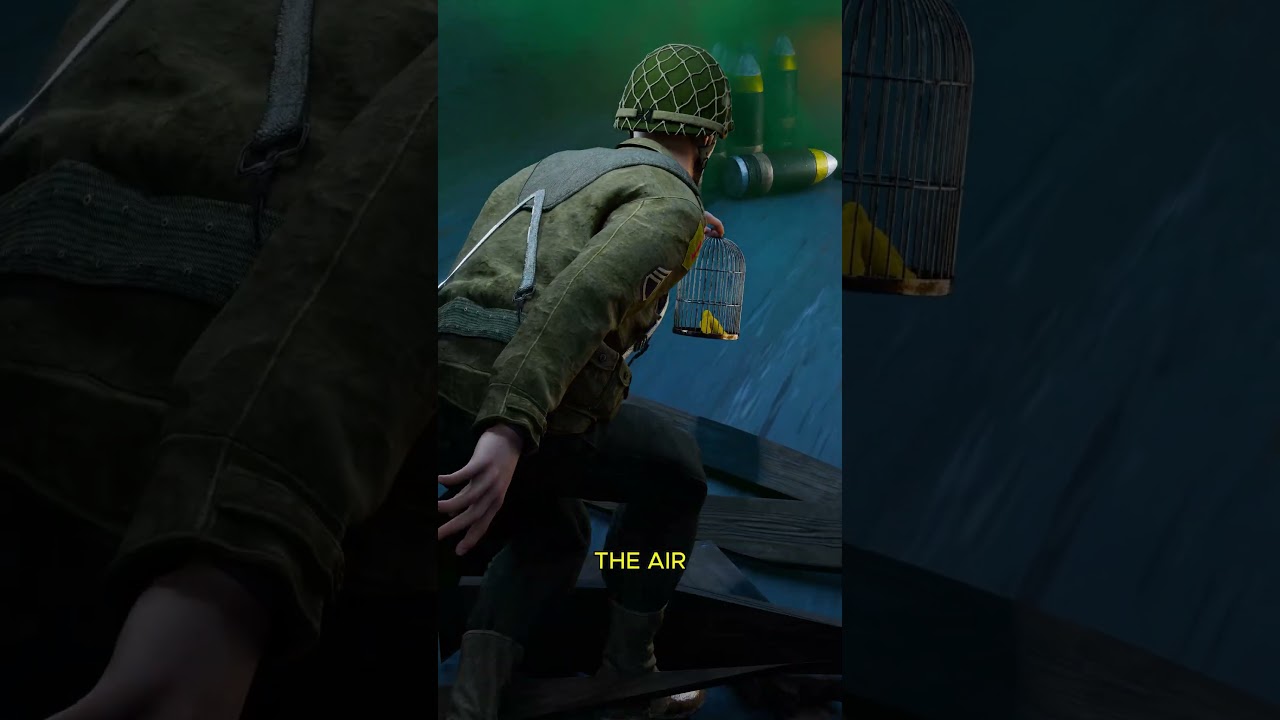 为什么士兵要携带小型金丝雀笼子-咕咕的工具箱