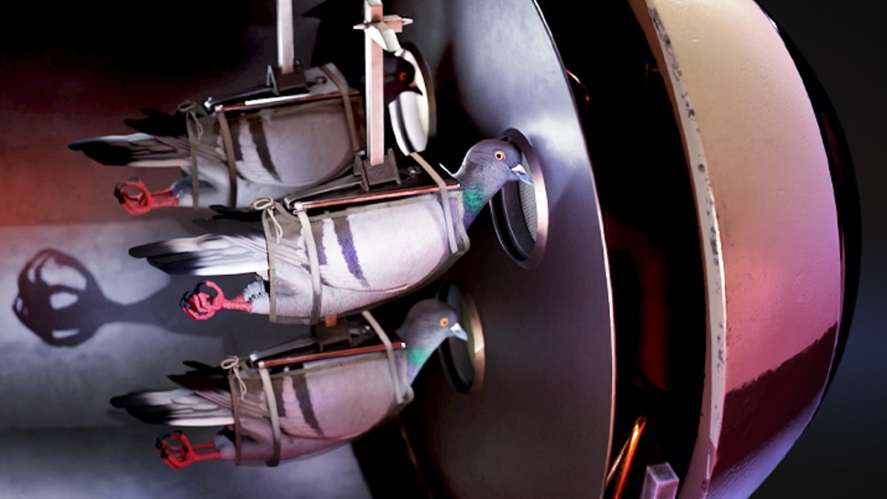 二战时期动物制导炸弹内部构造-咕咕的工具箱