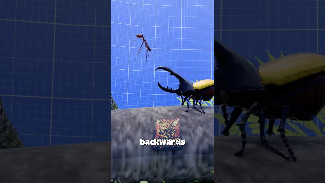 甲虫能打败蚂蚁吗？-咕咕的工具箱