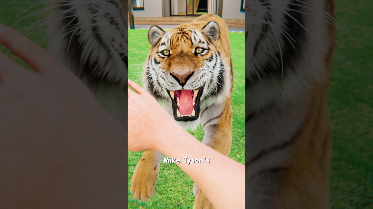 老虎咬了她的手-咕咕的工具箱