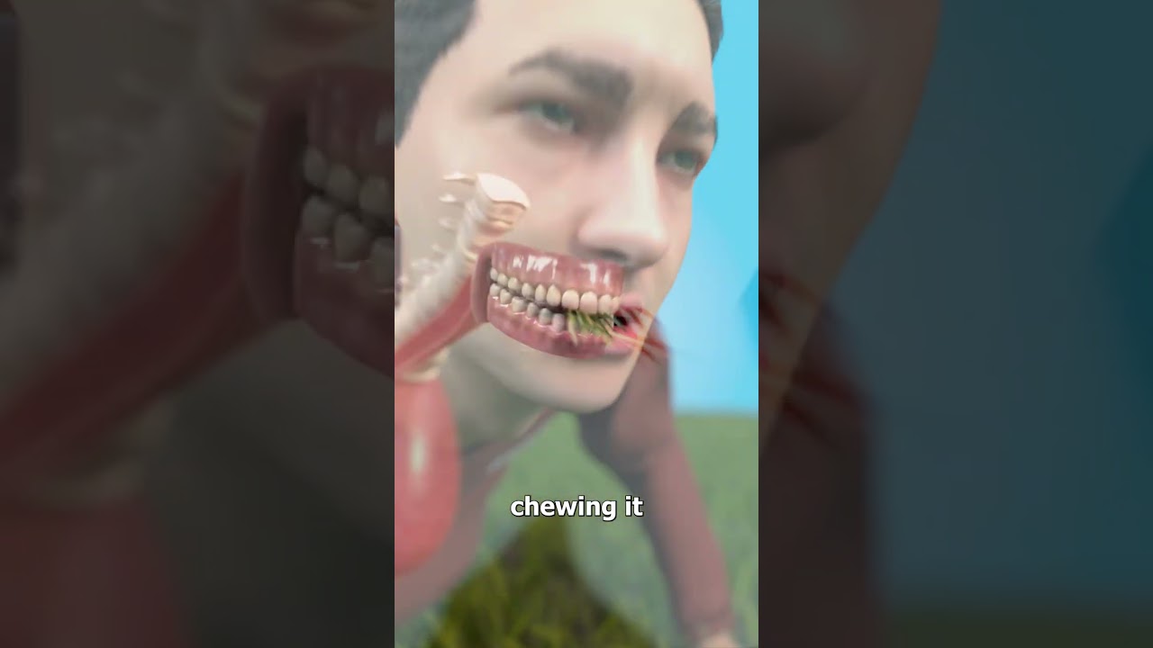 如果人类长着牛的胃会怎样-咕咕的工具箱