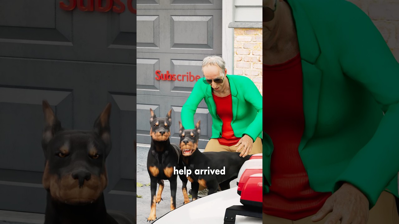 爷爷的狗狗救了他的命-咕咕的工具箱