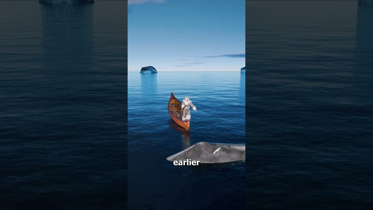 相隔百年两次鲸鱼遭枪击