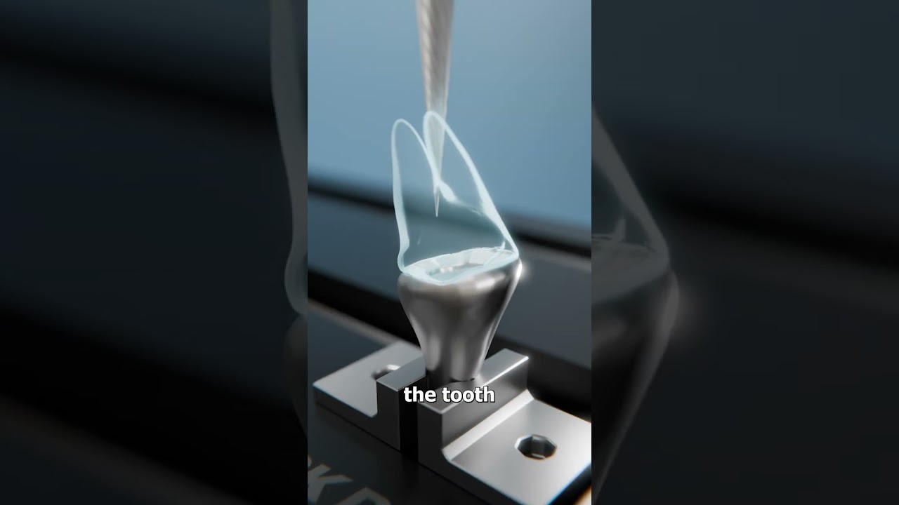 军犬牙齿断了会发生什么？-咕咕的工具箱