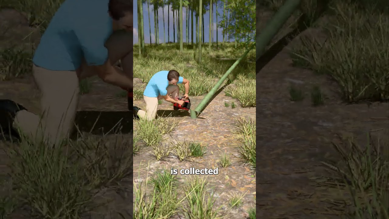 如何在活竹中陈酿白酒-咕咕的工具箱