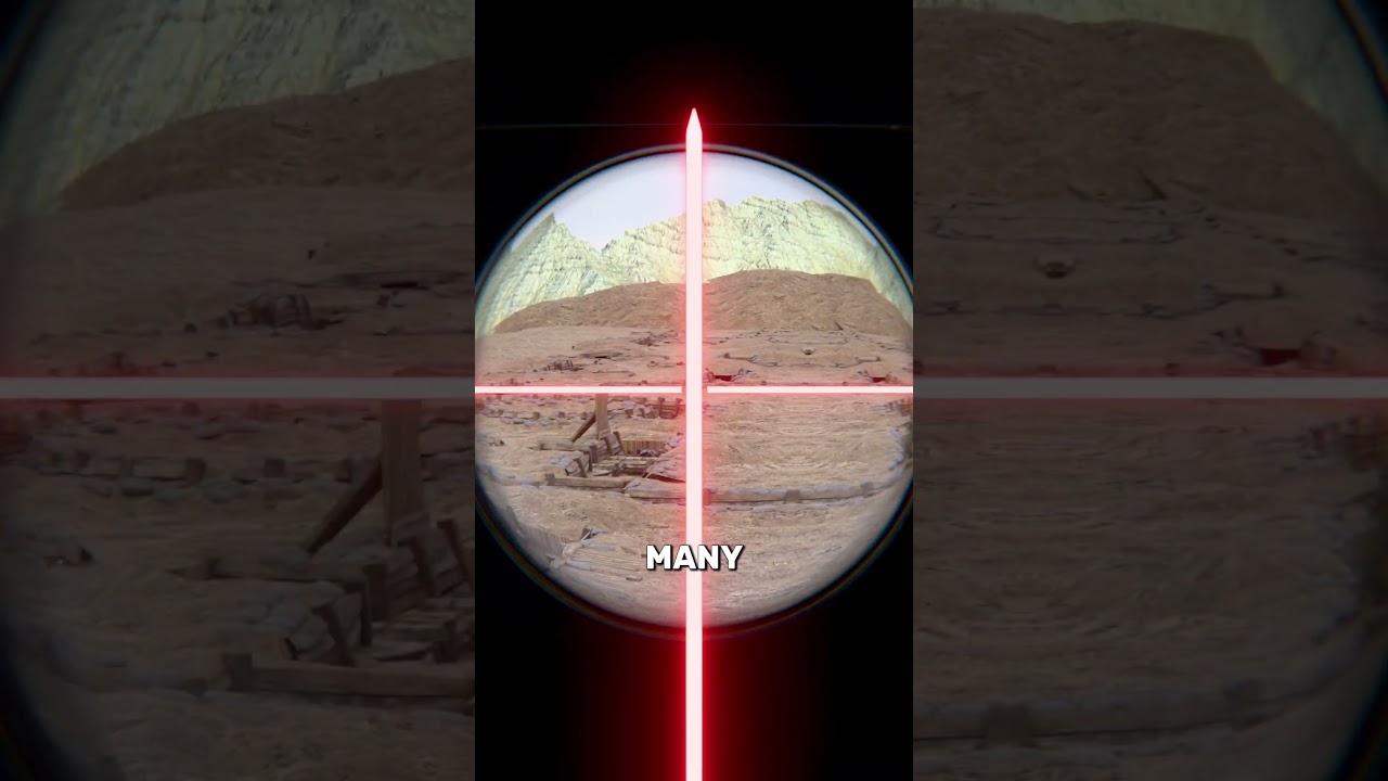 蜘蛛在战争中如何帮助士兵-咕咕的工具箱