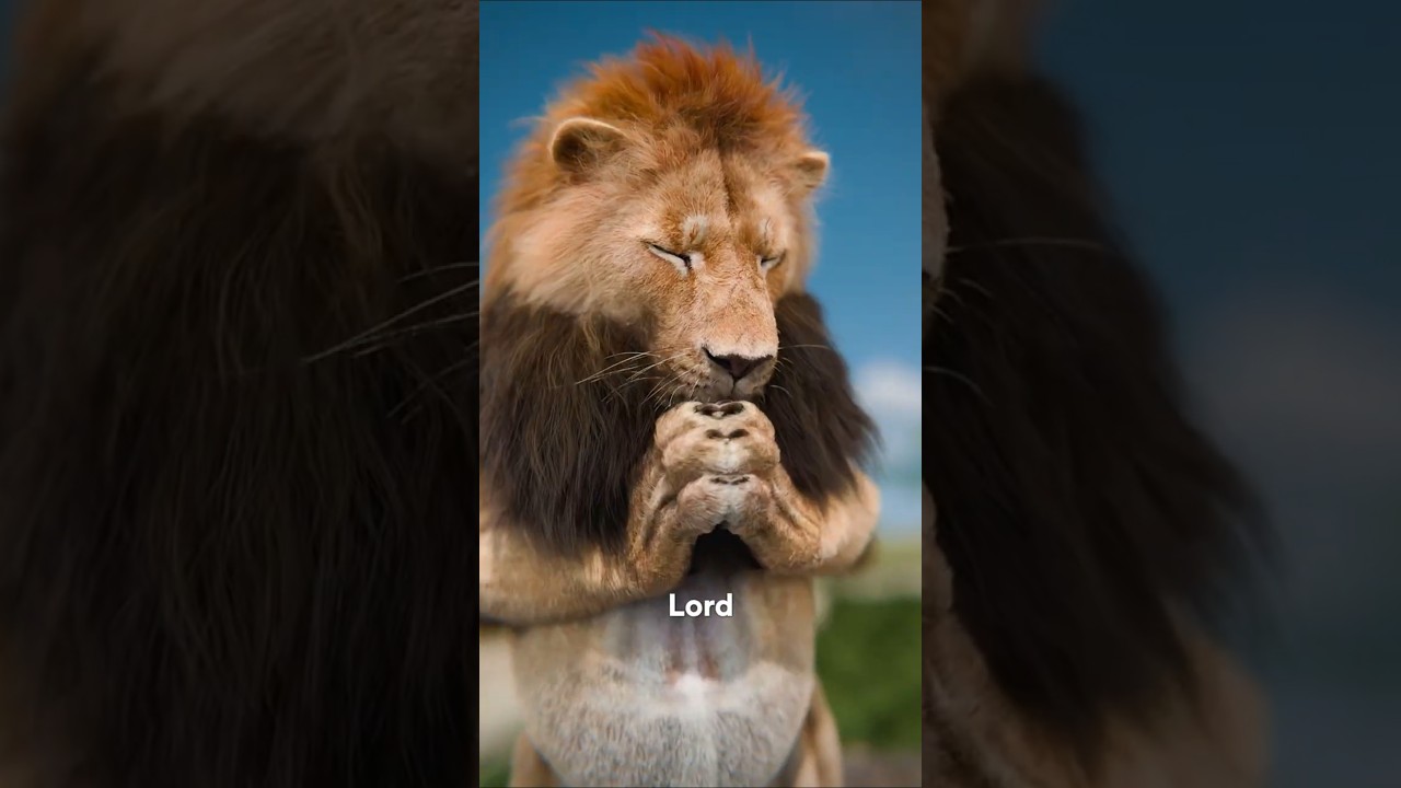 餐前祷告-咕咕的工具箱