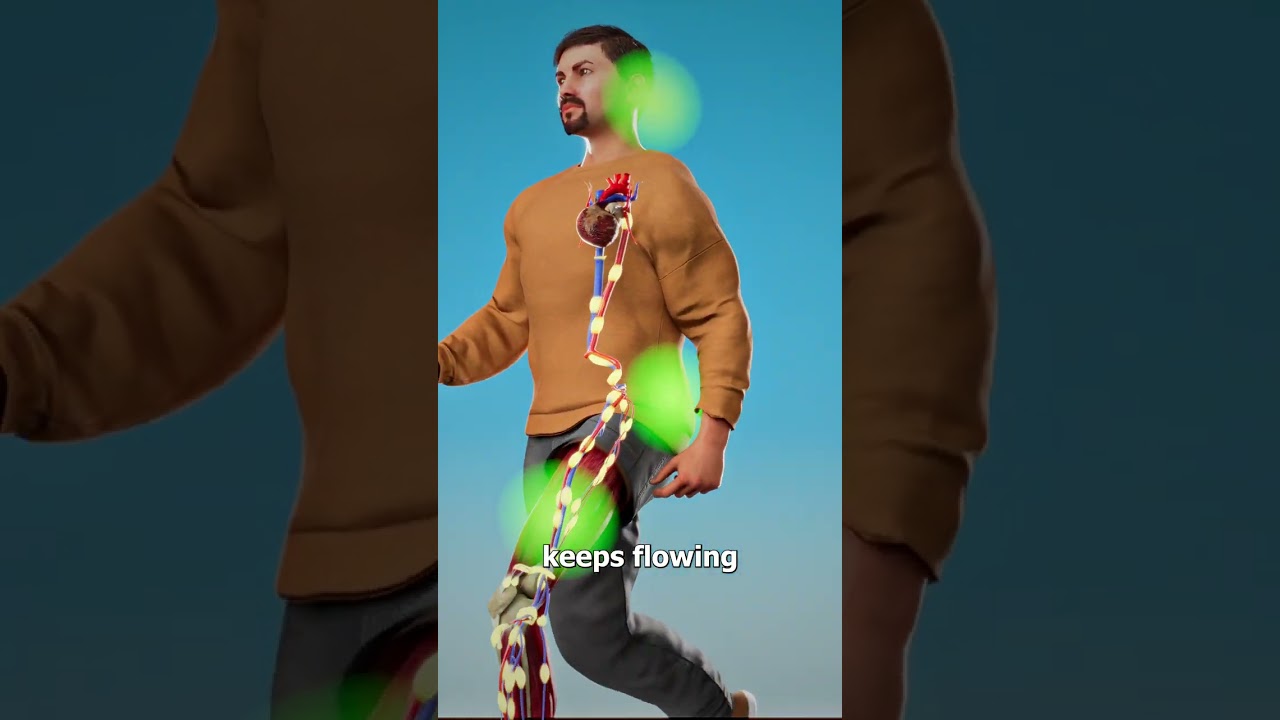 为什么静止不动比走路更伤身-咕咕的工具箱