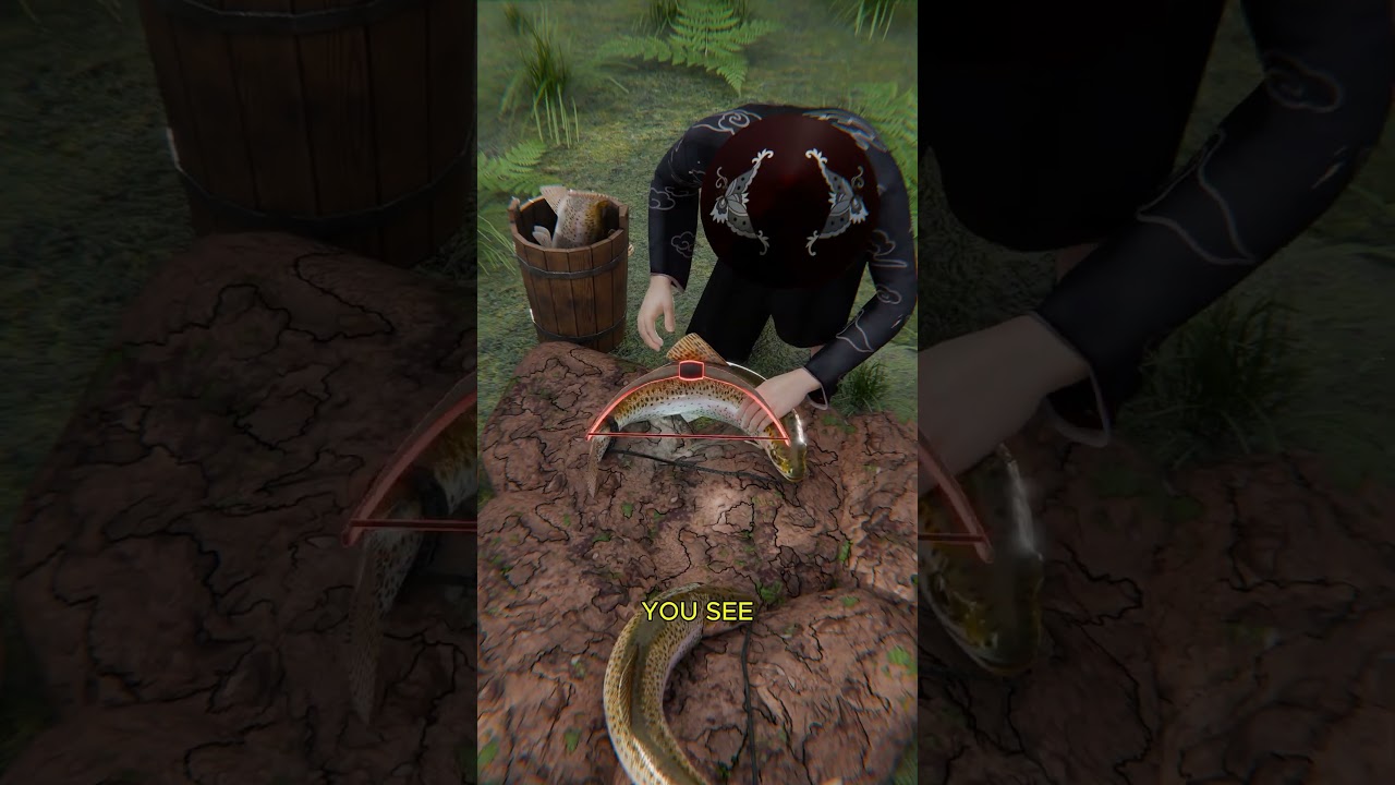 渔民为何要弯折鱼身-咕咕的工具箱