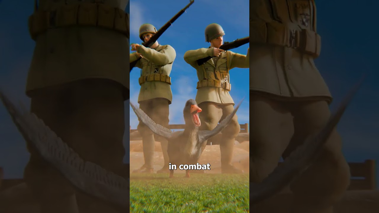 参加过战斗的军用鸭子-咕咕的工具箱