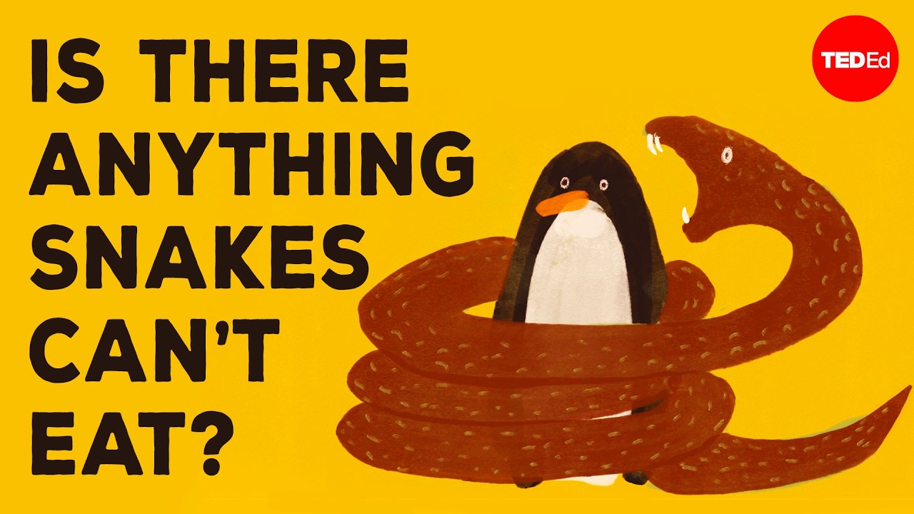 蛇是如何吞下比自己大得多的动物的？-咕咕的工具箱