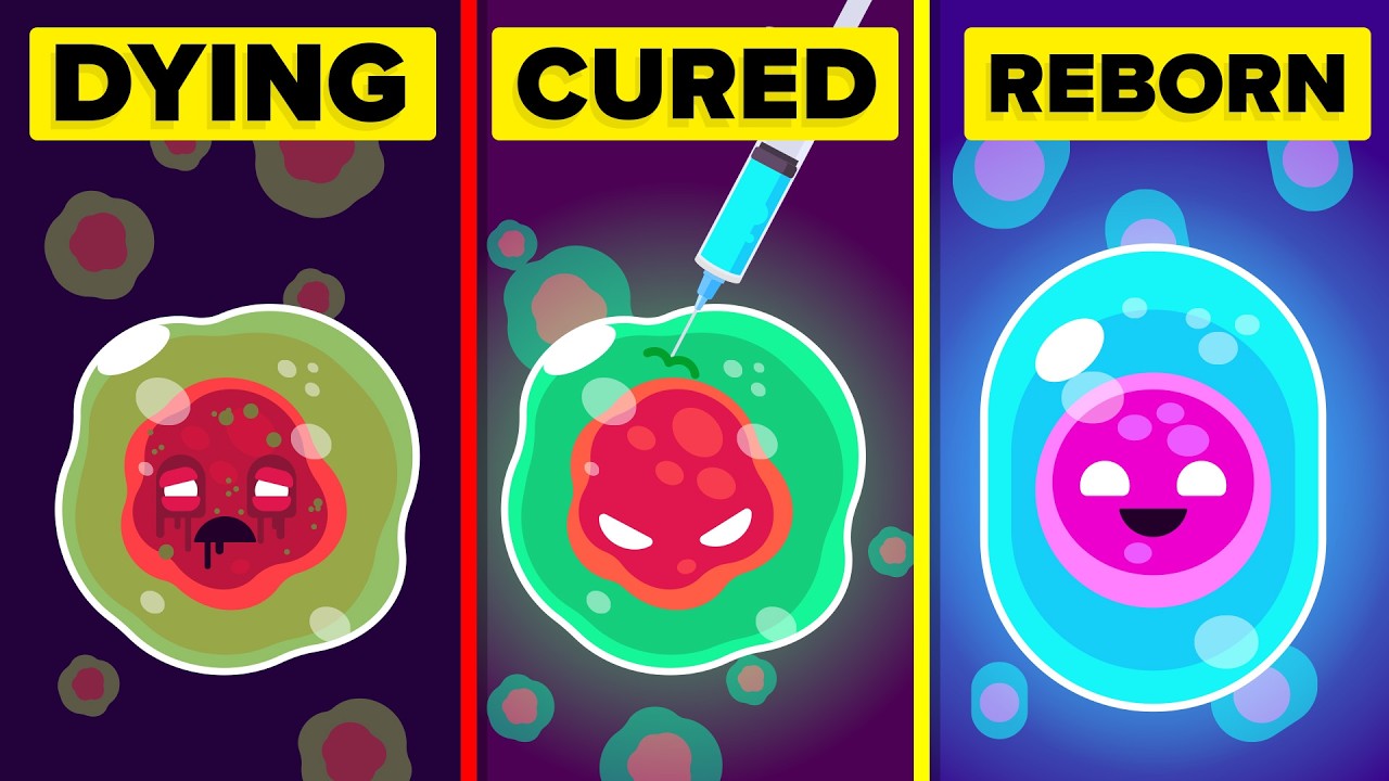 重置年龄。FDA 刚刚为“永生”亮起了绿灯-咕咕的工具箱