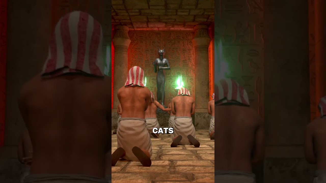 帮助他们赢得战争的猫-咕咕的工具箱