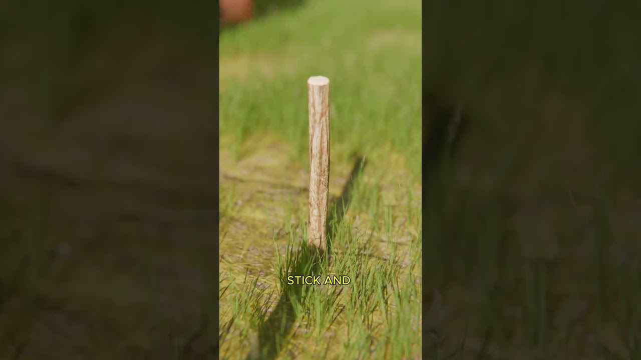 森林中的太阳导航技术-咕咕的工具箱