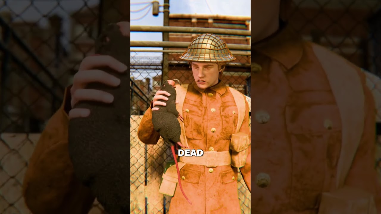 死老鼠是如何被制成武器的-咕咕的工具箱