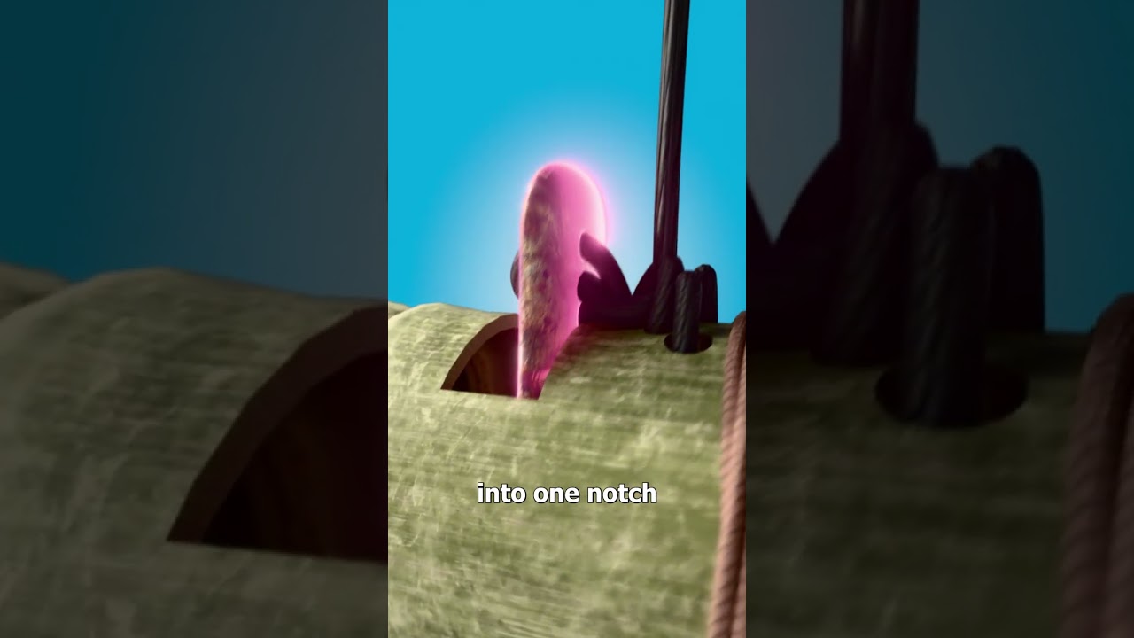 竹制捕鼠器是如何工作的？-咕咕的工具箱