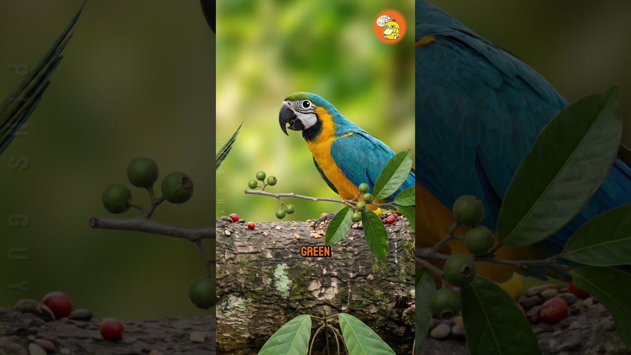 最早发明医药的动物