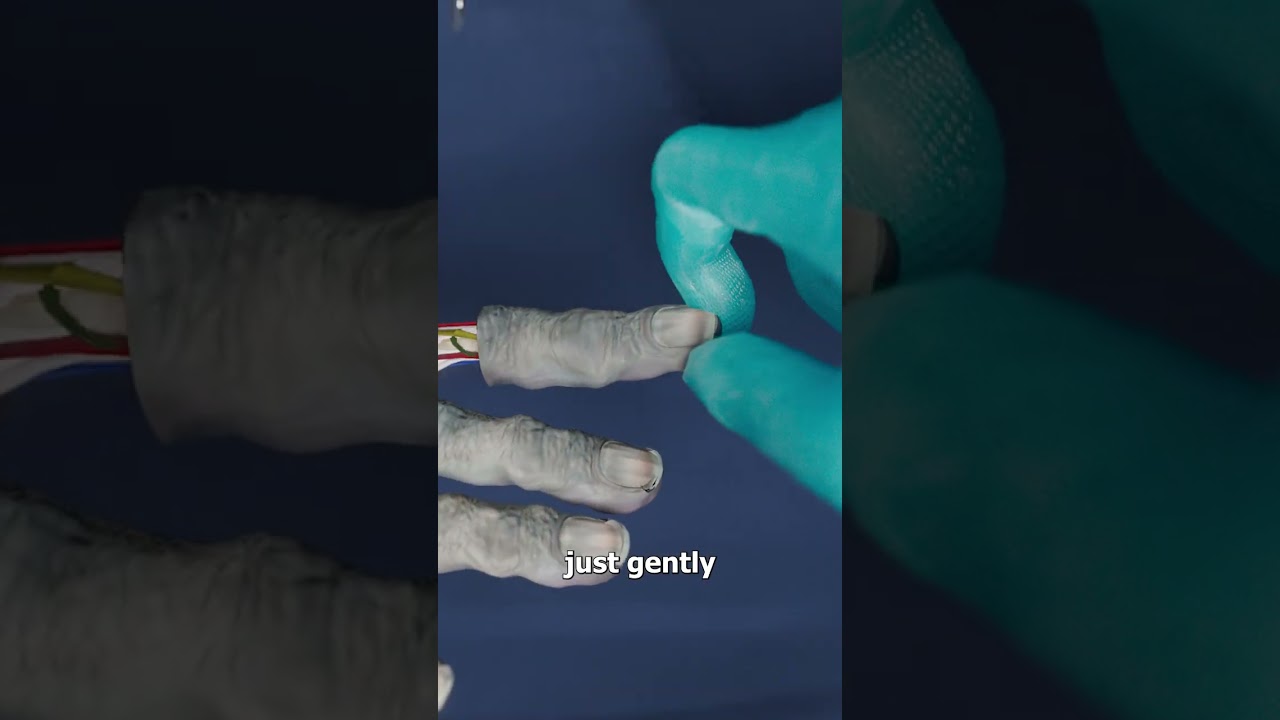 如何从尸体上提取指纹-咕咕的工具箱