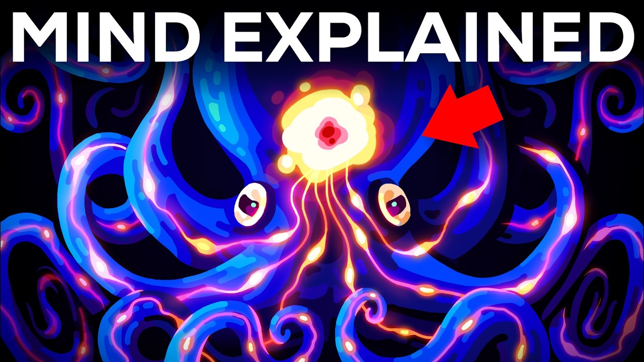 动物拥有像人类一样的头脑吗？-咕咕的工具箱