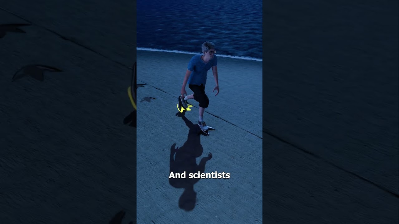 骗过科学家的企鹅足迹-咕咕的工具箱