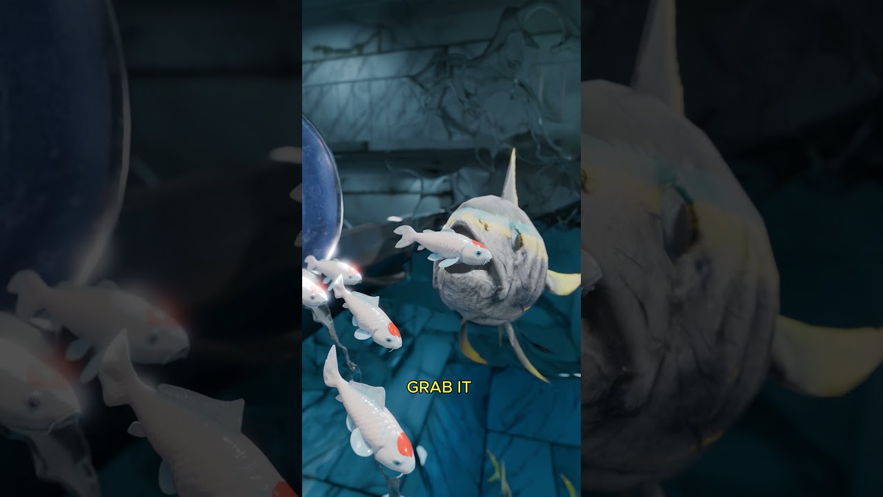 这个圆形水箱妙招能让金枪鱼活下来