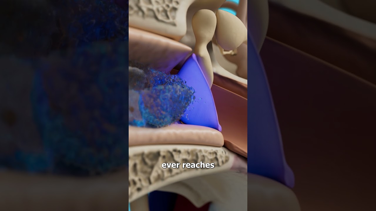 耳垢清洁耳机的工作原理是什么？-咕咕的工具箱