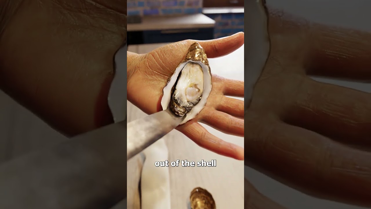 如何安全地撬开牡蛎而不被扎到