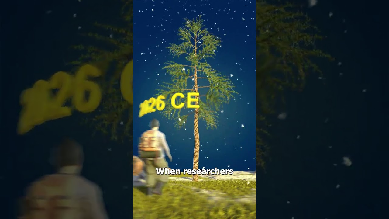 一棵不断轮回的树-咕咕的工具箱