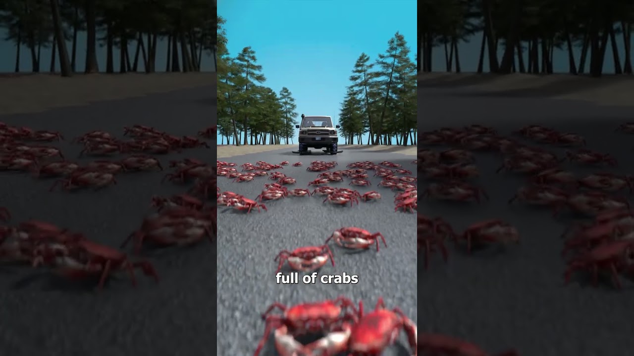 螃蟹清扫器是如何工作的-咕咕的工具箱