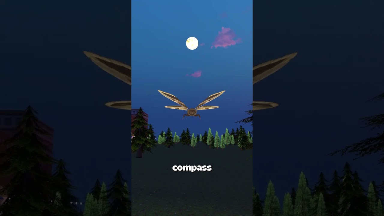 为什么飞蛾会径直撞向灯光？-咕咕的工具箱