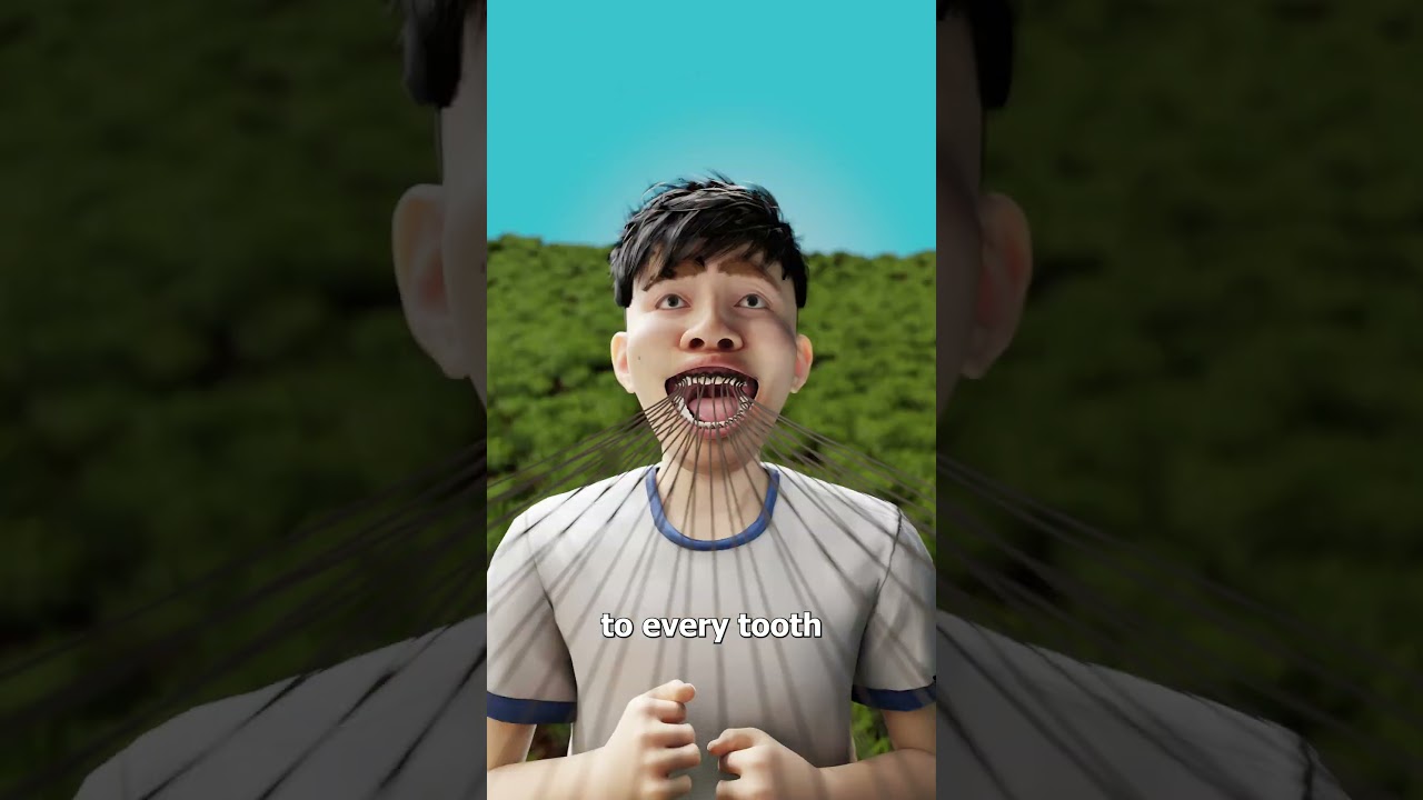 为什么千万不要硬拔松动的牙齿