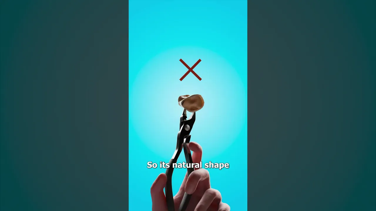 外科医生可以重复利用癌变的骨骼吗？