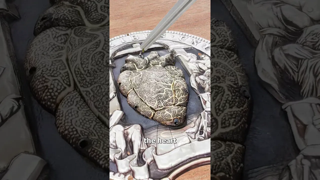 他把一枚硬币变成了一颗跳动的心脏