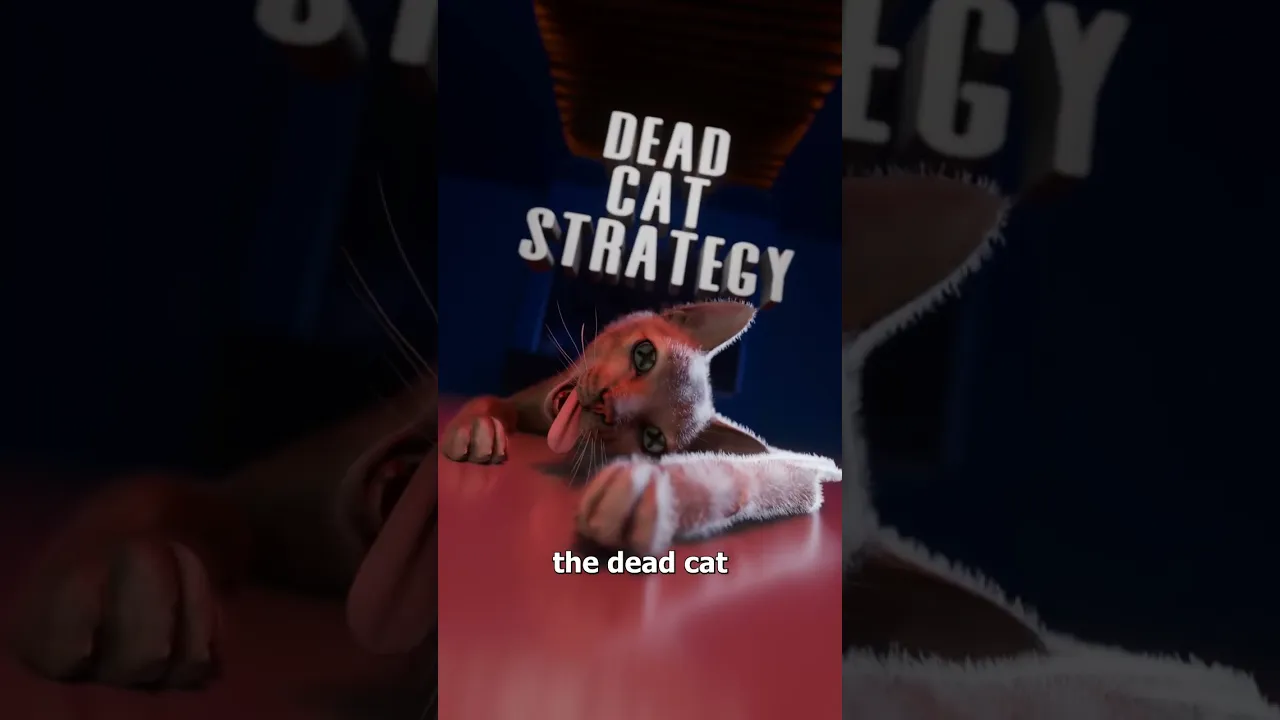 什么是死猫策略