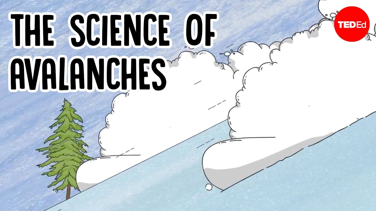 雪崩是如何引发的？人在雪崩中能幸存吗？